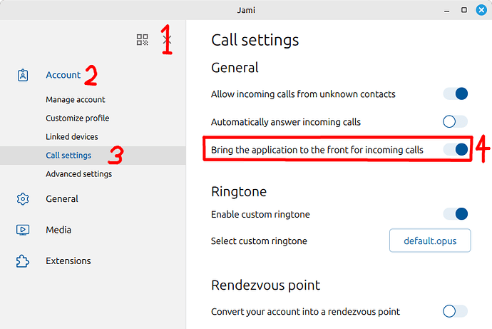 Bring the application to the front for incoming calls
